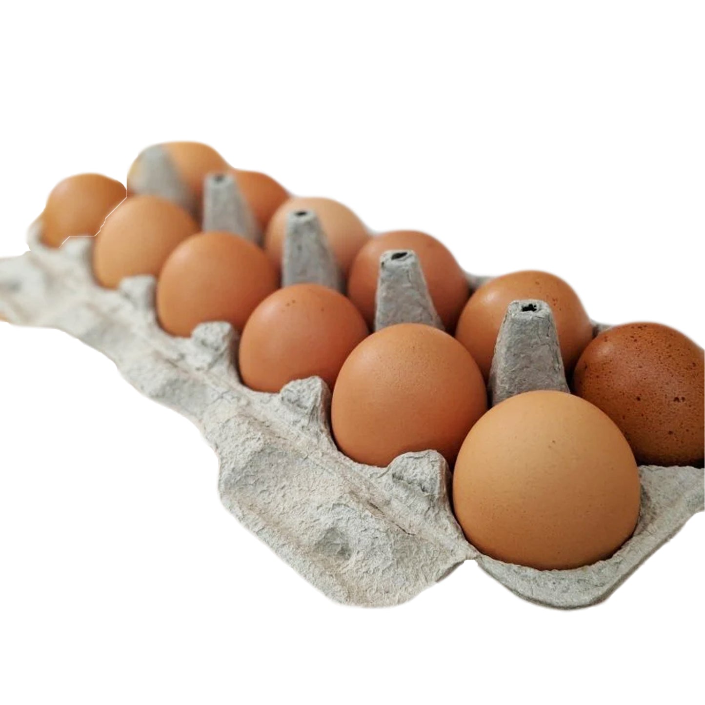 Pasture Raised CHICKEN Eggs (Corn and Soy Free) - PLEASE ORDER SEPERATELY