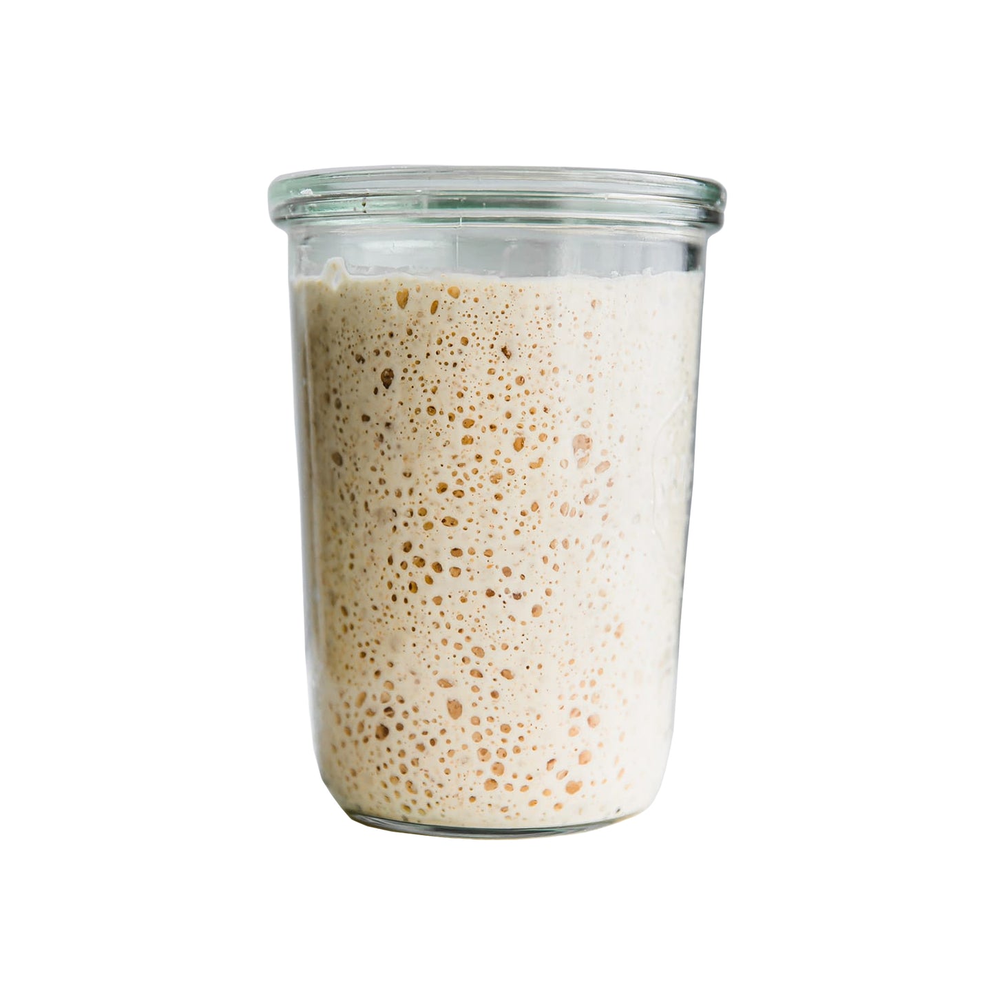 Sourdough Starter (Organic)